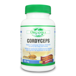 Cordyceps Sinensis Forte 800 MG - anticancerigen, antitumoral, imunomodulator